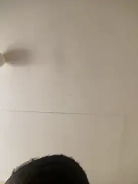 berl3 online show from March 12, 2026, 10:54 am