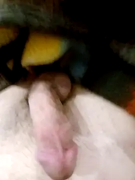 Snapshot of Adix_02six chatting on March 10, 2026, 1:54 am Adix 02six online show from March 10, 2026, 1:54 am