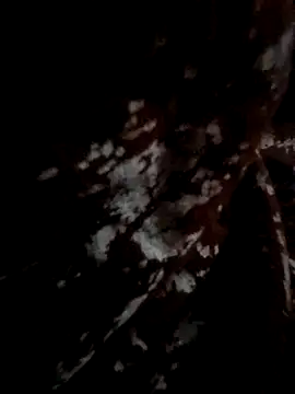 Snapshot of Couple_hot999 chatting on March 4, 2026, 2:56 pm Couple hot999 online show from March 4, 2026, 2:56 pm