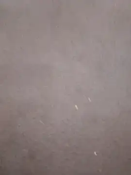 Snapshot of kavita-bhabhi-chut chatting on March 9, 2026, 7:51 pm kavita-bhabhi-chut online show from March 9, 2026, 7:51 pm