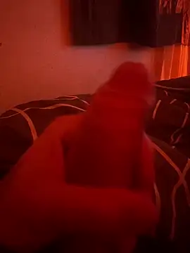 Snapshot of onlyforyou6666 chatting on March 20, 2026, 10:14 pm onlyforyou6666 online show from March 20, 2026, 10:14 pm