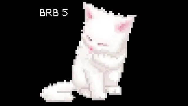 BlinkingDross online show from July 28, 2026, 2:13 pm