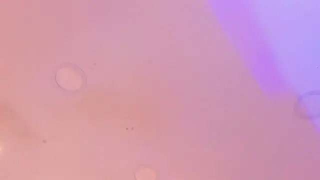 Katijis online show from April 30, 2026, 6:47 pm