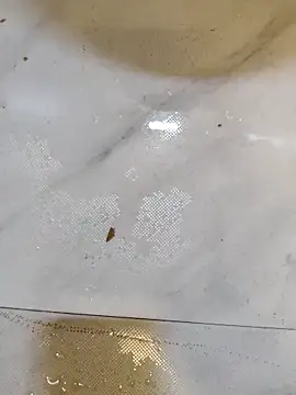 Splashyblackboard2 online show from March 13, 2026, 8:15 pm