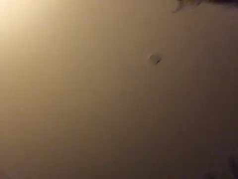 Snapshot of Bigboadick chatting on June 15, 2026, 8:55 pm Bigboadick online show from June 15, 2026, 8:55 pm