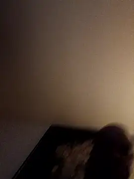 pipefeeder901 online show from March 18, 2026, 3:31 am