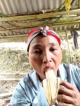 NIANIAKUTE online show from March 31, 2026, 3:41 am