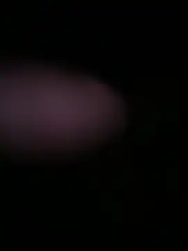 Snapshot of globalfucker34 chatting on March 22, 2026, 8:34 pm globalfucker34 online show from March 22, 2026, 8:34 pm