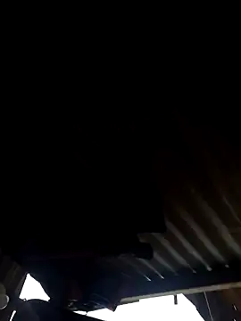 leitan01 online show from March 21, 2026, 12:32 pm