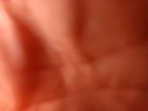 PinkredWad online show from April 1, 2026, 1:41 pm