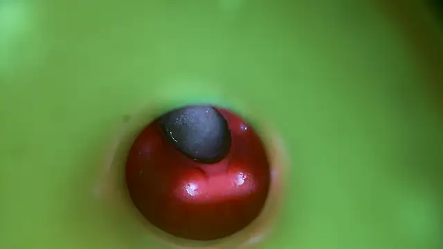 Snapshot of rubbingtothetips chatting on March 24, 2026, 5:29 pm rubbingtothetips online show from March 24, 2026, 5:29 pm