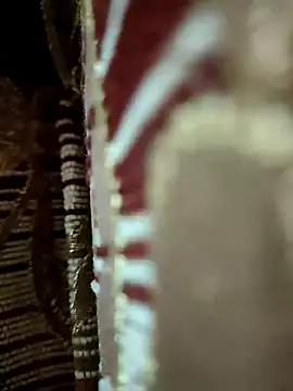 Snapshot of Gayegypt chatting on April 4, 2026, 6:33 am Gayegypt online show from April 4, 2026, 6:33 am