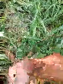 luck00y online show from June 14, 2026, 12:29 pm