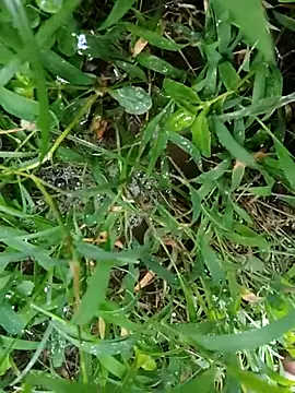 luck00y online show from July 8, 2026, 12:59 am