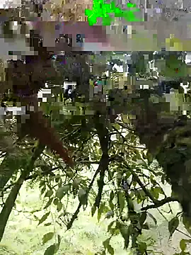 xjkedv online show from June 6, 2026, 6:45 pm