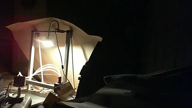 adorbsbiggestfan online show from April 14, 2026, 11:27 am