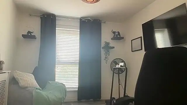 DaveRoyale online show from April 12, 2026, 12:10 pm