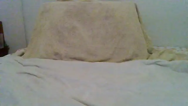 Snapshot of mettmett69free chatting on July 26, 2026, 4:31 am mettmett69free online show from July 26, 2026, 4:31 am
