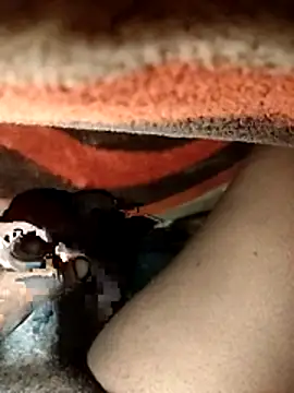 Snapshot of chickelikeme chatting on April 9, 2026, 2:00 am chickelikeme online show from April 9, 2026, 2:00 am