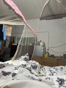 sakunx2028 online show from April 8, 2026, 12:05 pm