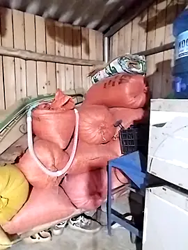 chaubau1 online show from April 13, 2026, 11:59 am