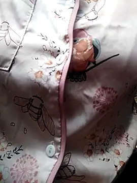 giahan1 online show from April 10, 2026, 12:49 am