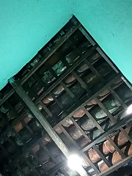 novinhokk22 online show from April 28, 2026, 6:18 am