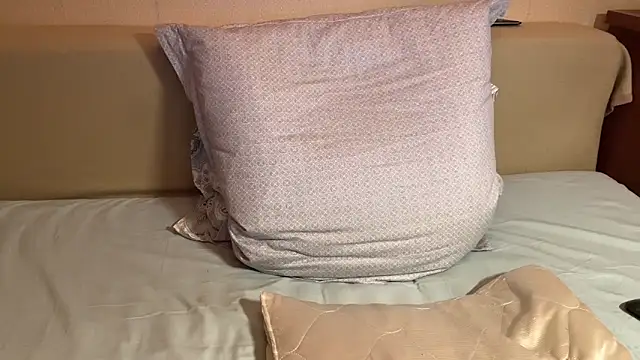 havedream online show from April 20, 2026, 10:40 am