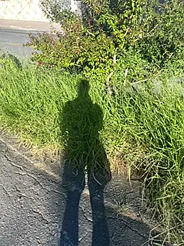 Cs-18 online show from April 20, 2026, 6:42 pm