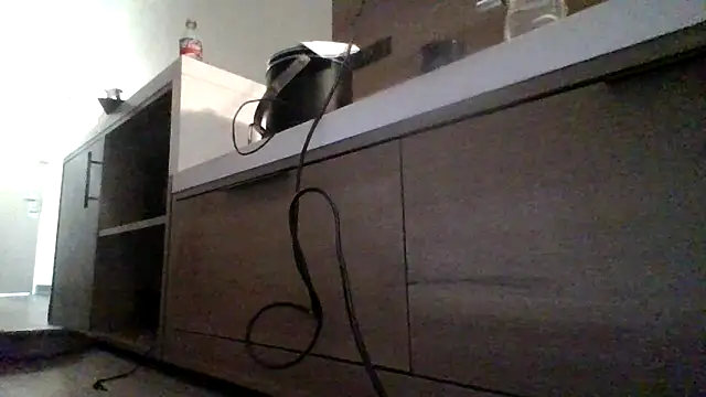 Dicksee Left online show from April 21, 2026, 9:17 pm