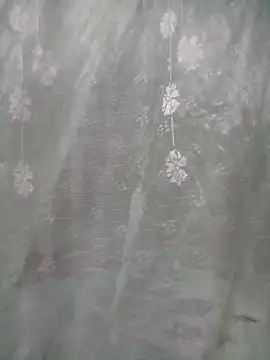 lelenana online show from April 28, 2026, 8:14 pm