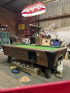 cozzy42 online show from April 22, 2026, 8:06 am