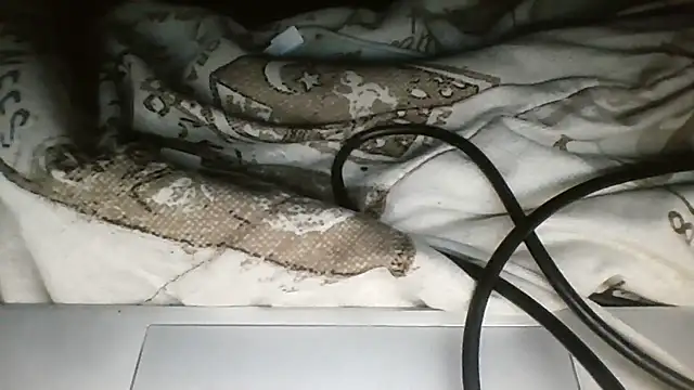 darkdadaaa online show from April 27, 2026, 8:23 am