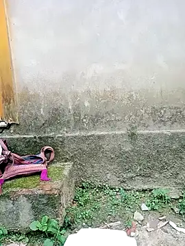 gaga5522 online show from April 25, 2026, 9:23 am