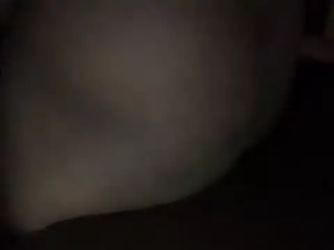 jaya transgender online show from April 25, 2026, 6:05 pm