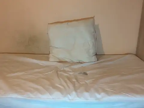 crazytranny online show from January 18, 2025, 9:24 pm