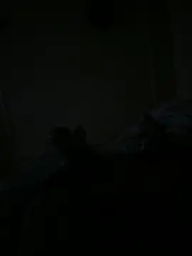 Timmy T online show from May 15, 2026, 1:12 am