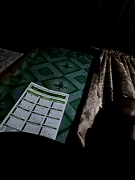 Camodick online show from February 2, 2025, 11:00 pm