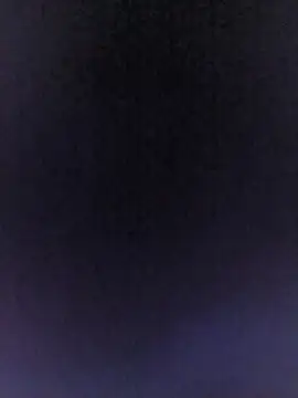 missbellastar online show from June 11, 2026, 3:04 am