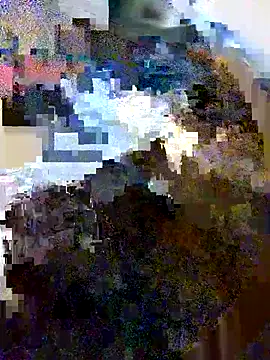 Snapshot of LonesomeMegawatt chatting on May 21, 2026, 10:00 am LonesomeMegawatt online show from May 21, 2026, 10:00 am