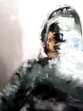 Snapshot of exoticosexual6996 chatting on May 27, 2026, 9:17 am exoticosexual6996 online show from May 27, 2026, 9:17 am