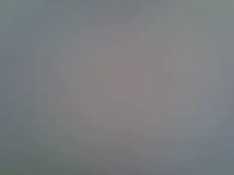berrynova online show from July 25, 2026, 1:30 pm