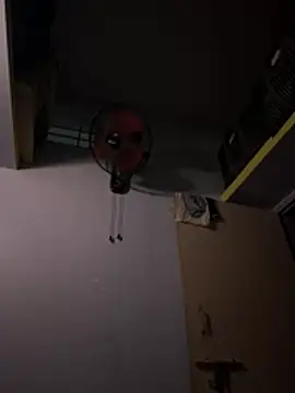 sexyshona8 online show from August 9, 2026, 3:55 am