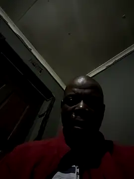 Rod Gorilla online show from August 3, 2026, 4:11 pm
