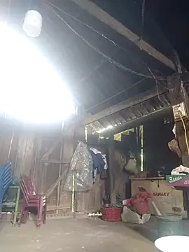 Seiciz online show from July 2, 2026, 2:00 am