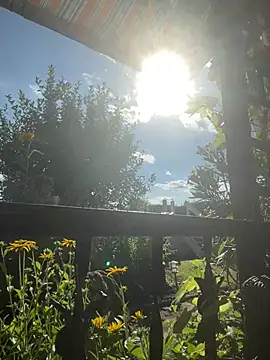 Bear-Dadd online show from July 28, 2026, 3:21 pm