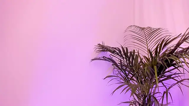 scarlet boobs01 online show from June 30, 2026, 11:33 am