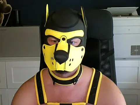 Snapshot of WildyLynx chatting on July 7, 2026, 3:38 pm WildyLynx online show from July 7, 2026, 3:38 pm