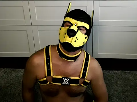 Snapshot of WildyLynx chatting on July 9, 2026, 5:17 pm WildyLynx online show from July 9, 2026, 5:17 pm