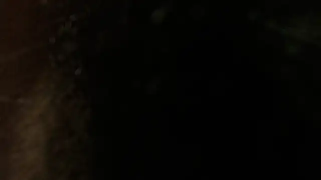 Snapshot of sweet_barbiie chatting on January 12, 2025, 11:58 pm sweet barbiie online show from January 12, 2025, 11:58 pm